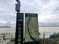 -海鸥岛