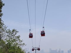 -苏淮景·苏闽融创菜·海鲜(原空港井河轩店)