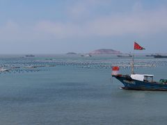 -枸杞岛