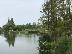 -上海长兴岛郊野公园