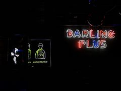 -Darling Queen·Mini·Live·House
