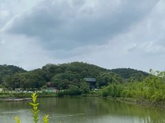 -芦仙山景区-飞越丛林探险乐园
