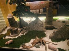 -义气烤肉餐吧(大族广场店)
