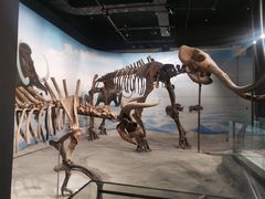 -辽宁古生物博物馆