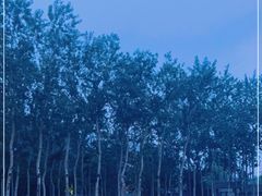 -枫花园汽车电影院(朝阳公园店)