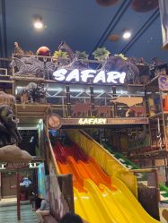 -卡通尼·Safari非洲探索乐园·生日会(金桥国际商业广场店)