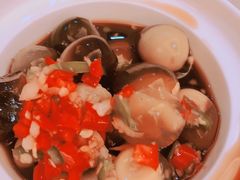 -丁老爷子苏香圆