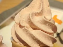 圆筒新人礼-麦当劳(南京路2店)