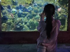 -左海海底世界