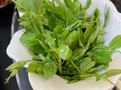-野菌皇海景野生菌火锅(滨海大道店)