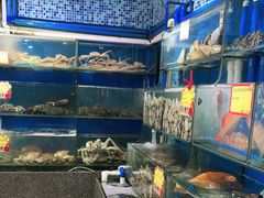 水产区-蚝专家(北滘店)