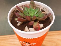 -都可手作(学士街手作店)