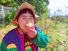 -大连北马山庄