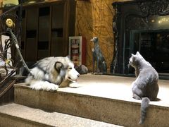 -more than meow吴止猫主题餐厅(承德 中船汇店)