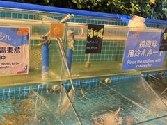 -渔家火锅·海鲜自助餐·演艺(亚龙湾天域酒店)