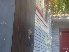 -后海16号·北京私房菜