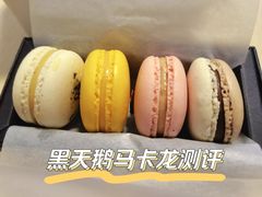 马卡龙-BLACKSWAN黑天鹅(环球店)