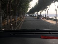 -丁香湖公园