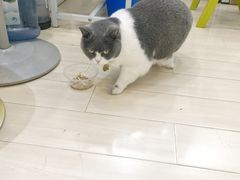 -云城照相馆(龙湖雨山天街店)