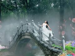 -洛阳白云山景区