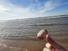 -长兴岛海滨公园