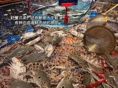 -金光华广场