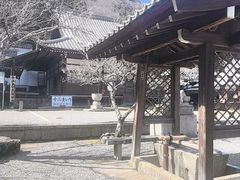 -天龙寺