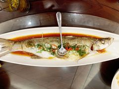 -天目馨缘