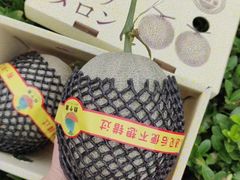 -双福水果批发市场