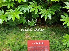 -菊花台公园