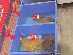 -状元甲·湖北甲鱼大王(汉口火车站店)