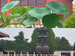 -天静宫