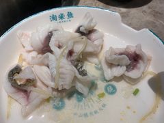 招牌鲜鱼片-淘米捞·米汤脆鲩鱼火锅(福田皇岗店)