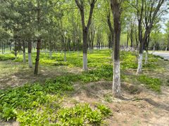 -东郊湿地公园