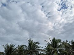 -海南清水湾莱佛士酒店