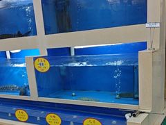 -清真民族饭庄(洞庭路店)