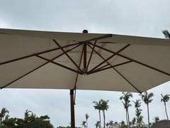 -亚龙湾希尔顿自助餐厅·海鲜·烧烤·沙滩BBQ·现场乐队