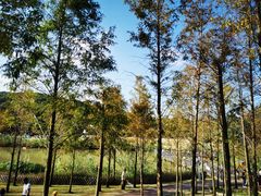 -牛岗山公园