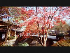 -柯达真美(老重庆中路店)