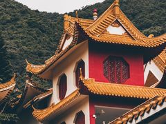 -深圳仙湖植物园