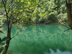 -鼎湖山风景区