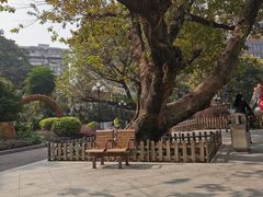 -东风公园