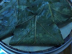 桲椤叶饼-香岛私房菜(金屋·秦皇半岛店)