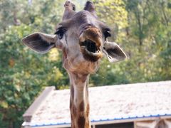 -泉州海丝野生动物世界