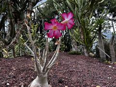 -南通洲际绿博园