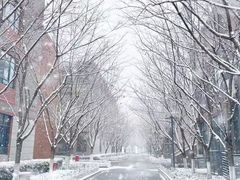 -金陵中学(河西分校)