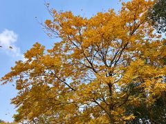 -东钱湖旅游度假区