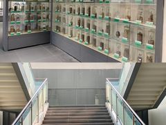 -广东中医药博物馆