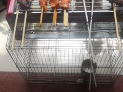 -宛平李记小吃(东关街店)