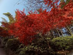 -岳麓山风景名胜区